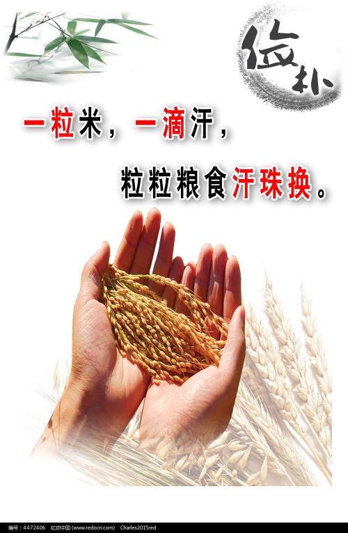 做驾驶证一般多少钱